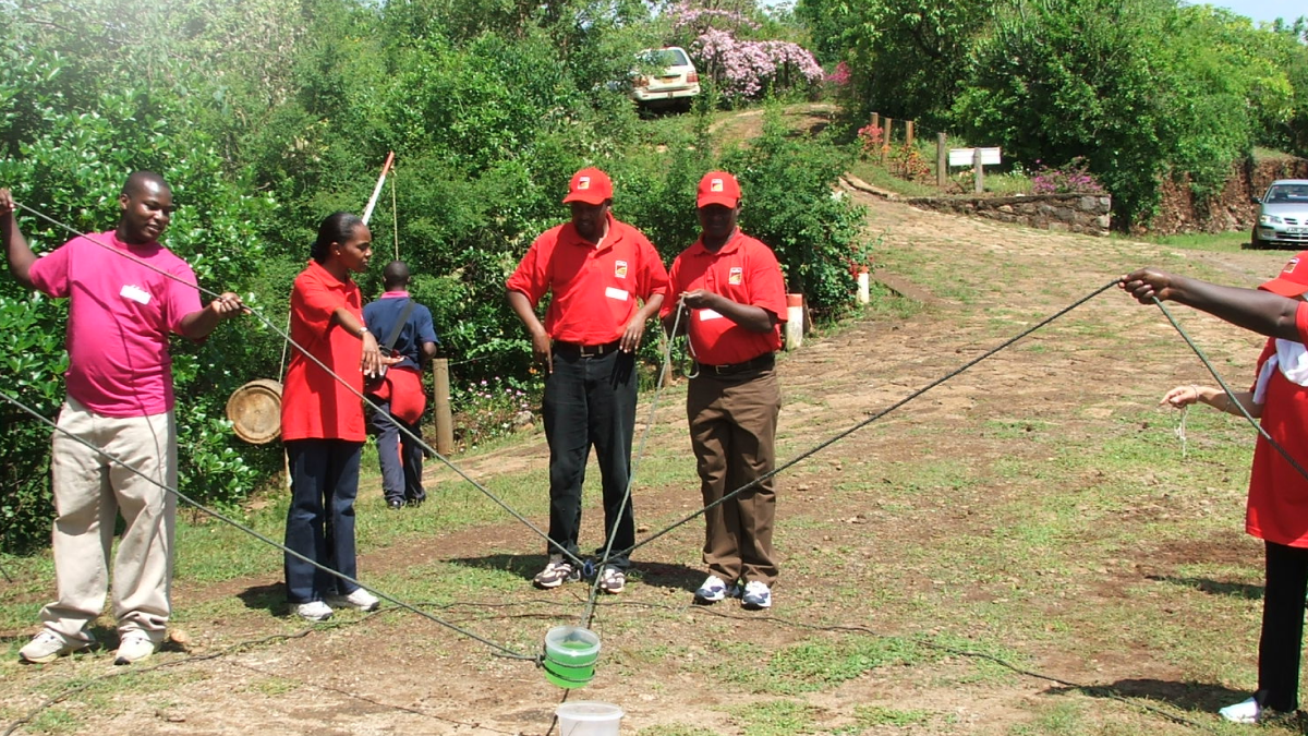 Corporate Team Building Workshops