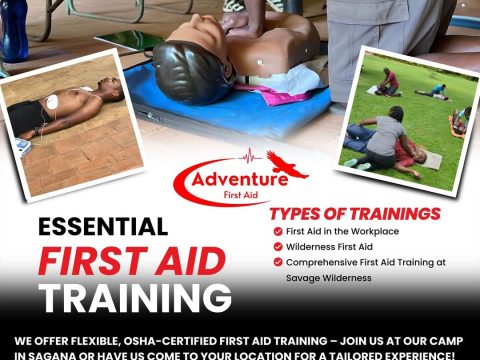 first aid training solutions